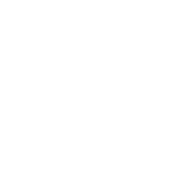 PLAYSON