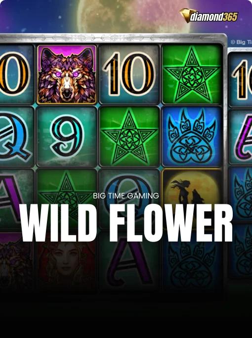 WILD FLOWER