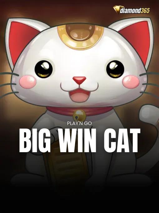 BIG WIN CAT