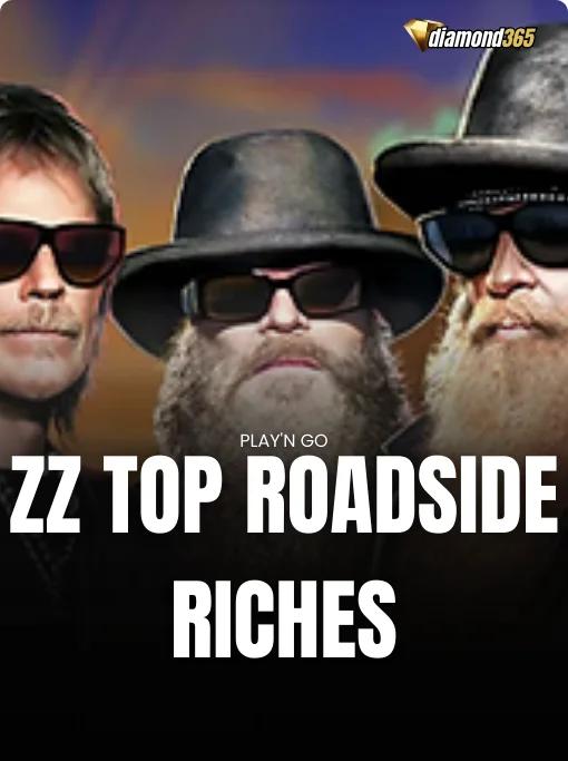ZZ TOP ROADSIDE RICHES
